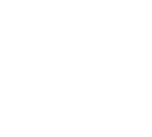 logo-amano