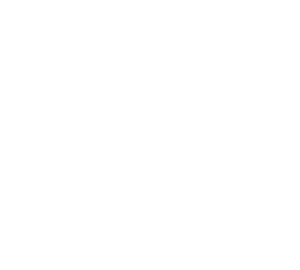 logo-gao